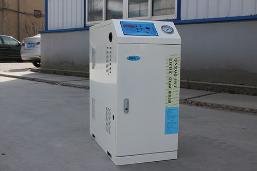 蒸汽发生器 隆鑫热能设备 图 微型蒸汽发生器